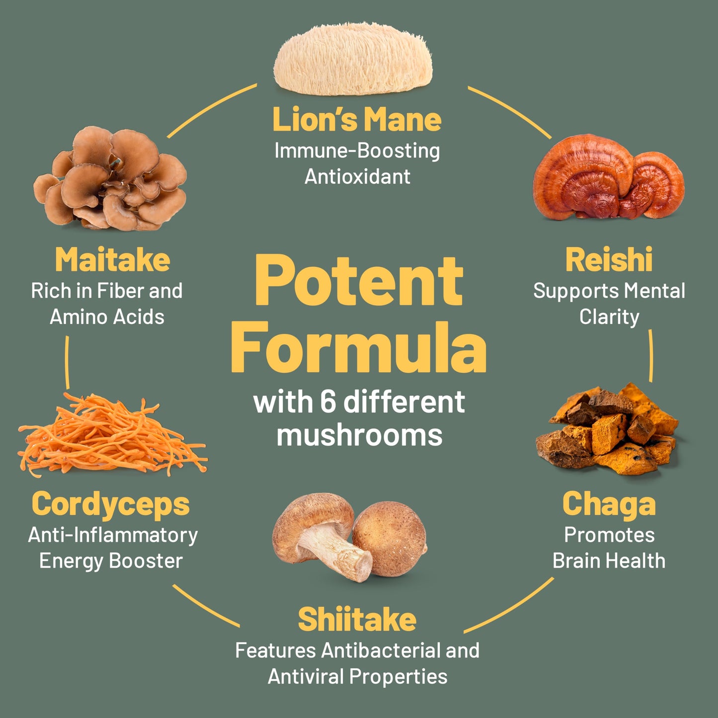 Vegan Vitality Multi Mushroom Supplement Complex - 120 Capsules | Reishi, Chaga, Shiitake, Maitake, Lion's Mane & Cordyceps