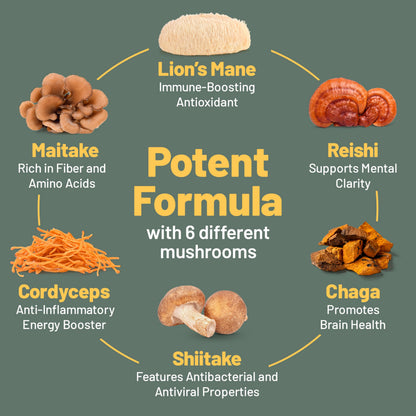 Vegan Vitality Multi Mushroom Supplement Complex - 120 Capsules | Reishi, Chaga, Shiitake, Maitake, Lion's Mane & Cordyceps