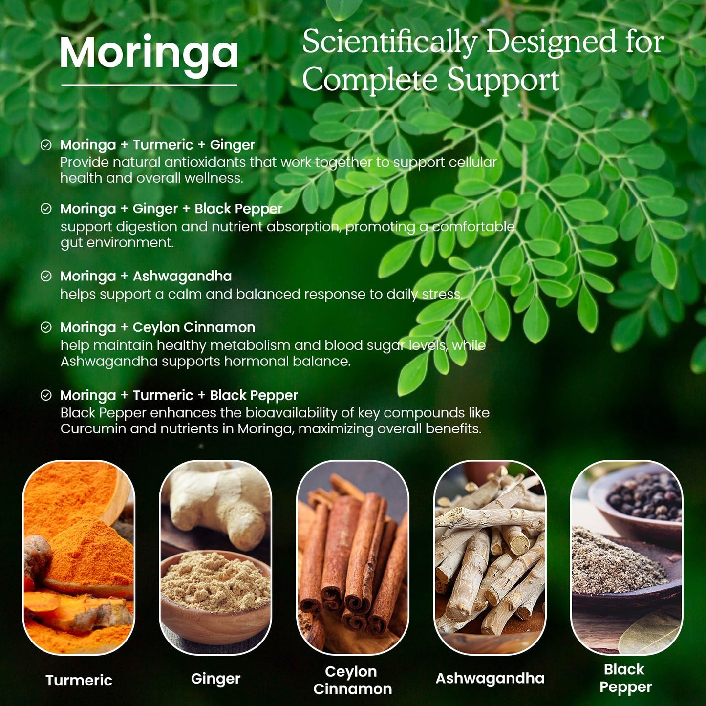 (2 Pack) Organic Moringa Leaf Extract Liquid Drops 1000mg with Turmeric & Black Pepper – Energy, Antioxidant & Skin Support | Vegan, 1 fl oz