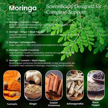 (2 Pack) Organic Moringa Leaf Extract Liquid Drops 1000mg with Turmeric & Black Pepper – Energy, Antioxidant & Skin Support | Vegan, 1 fl oz