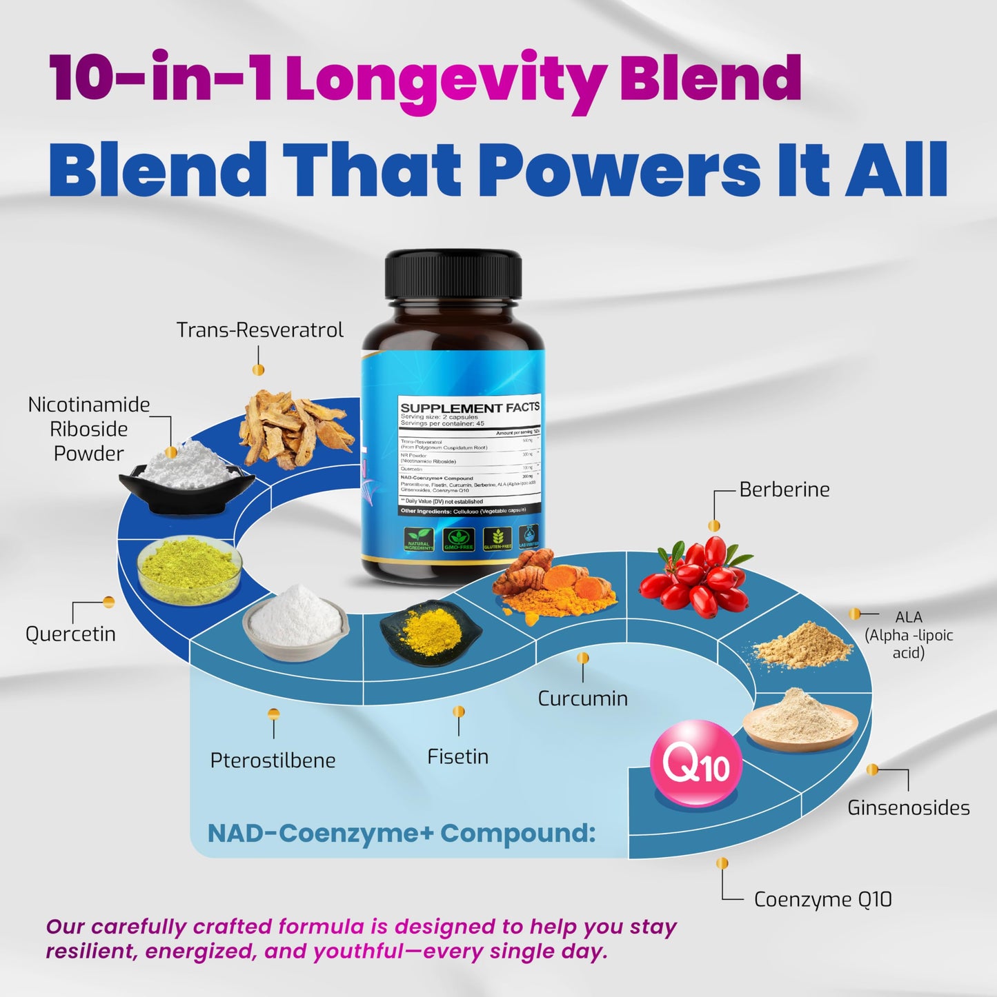 VEGATOT 10 in 1 Resveratrol with Quercetin – Immune, Brain & Joint Support (90 Count)