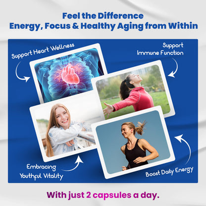 VEGATOT 10 in 1 Resveratrol with Quercetin – Immune, Brain & Joint Support (90 Count)