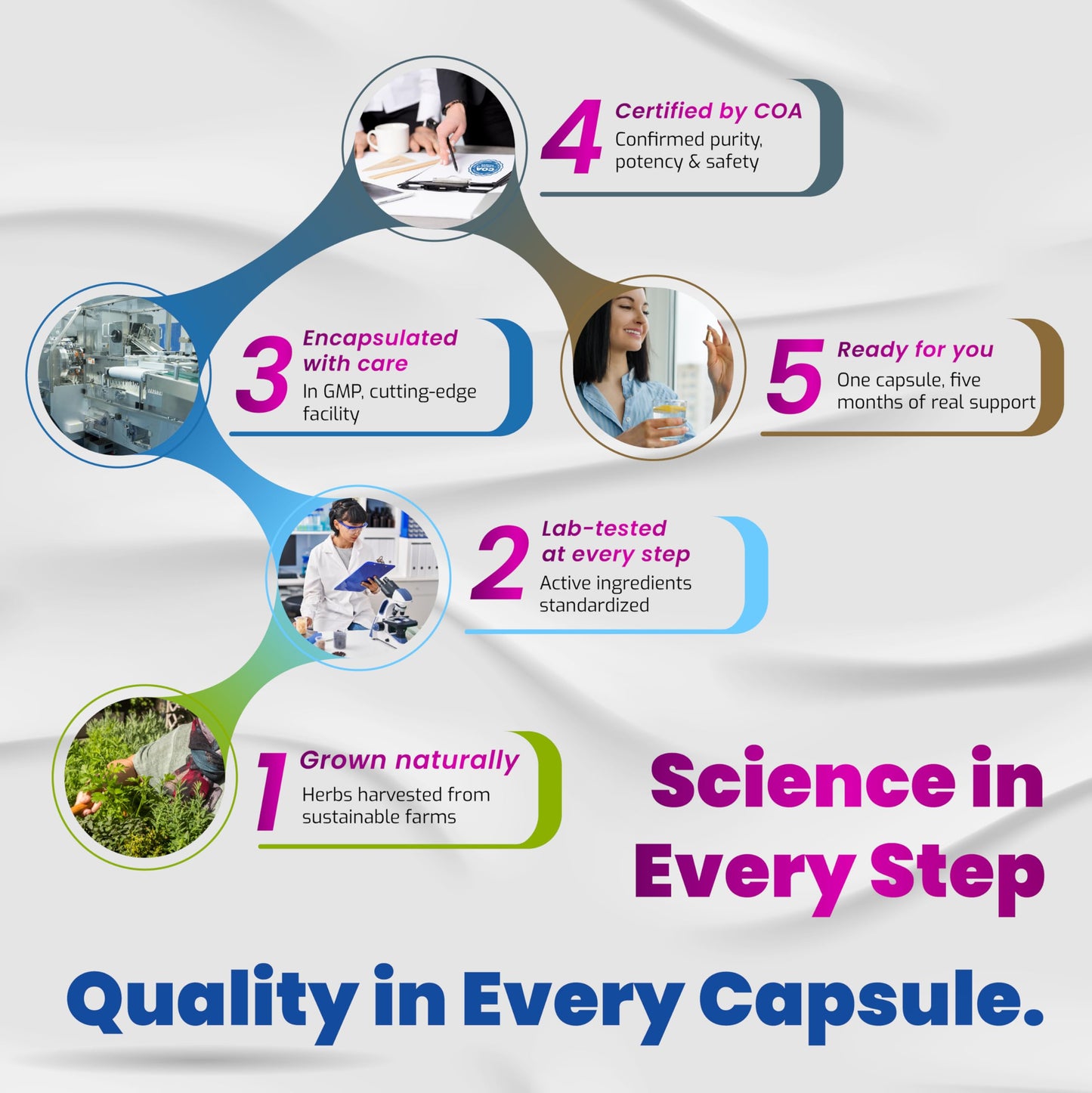 VEGATOT 10 in 1 Resveratrol with Quercetin – Immune, Brain & Joint Support (90 Count)