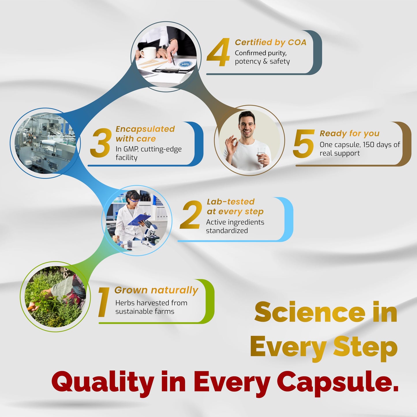 VEGATOT Organic Fisetin Complex 7-in-1 Formula | 150 Capsules | Non-GMO, Gluten-Free