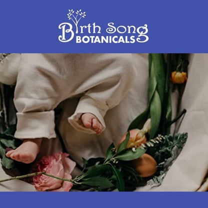 Birth Song Botanicals Children's Immune Tincture - Organic 1oz