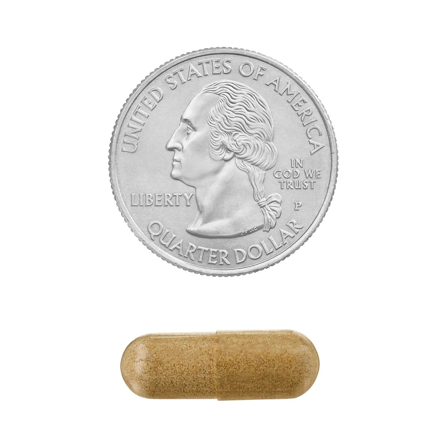 Echinacea Goldenseal Blend – 900 mg, 75 Vegetarian Capsules | Daily Wellness Supplement
