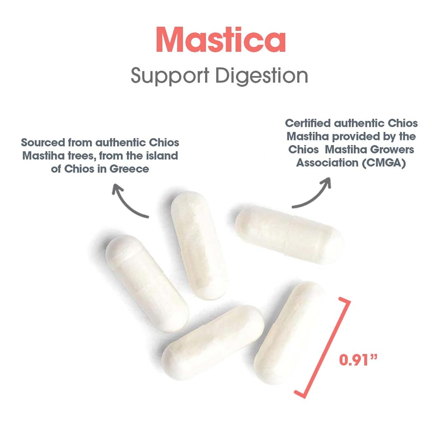 Allergy Research Group Mastic Gum - Chios Matisha GI Health, Hypoallergenic Capsules (60 Count)