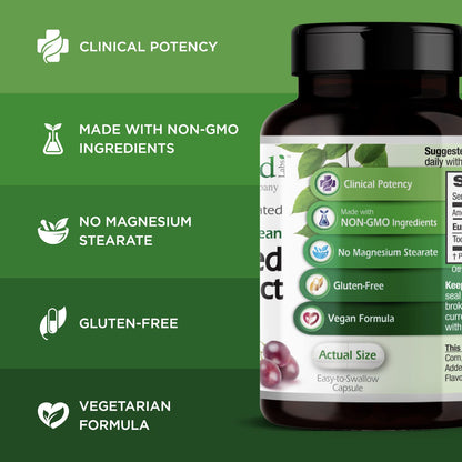 Emerald Labs European Grape Seed Extract – Immune Support & Antioxidant (90 Veg Capsules)