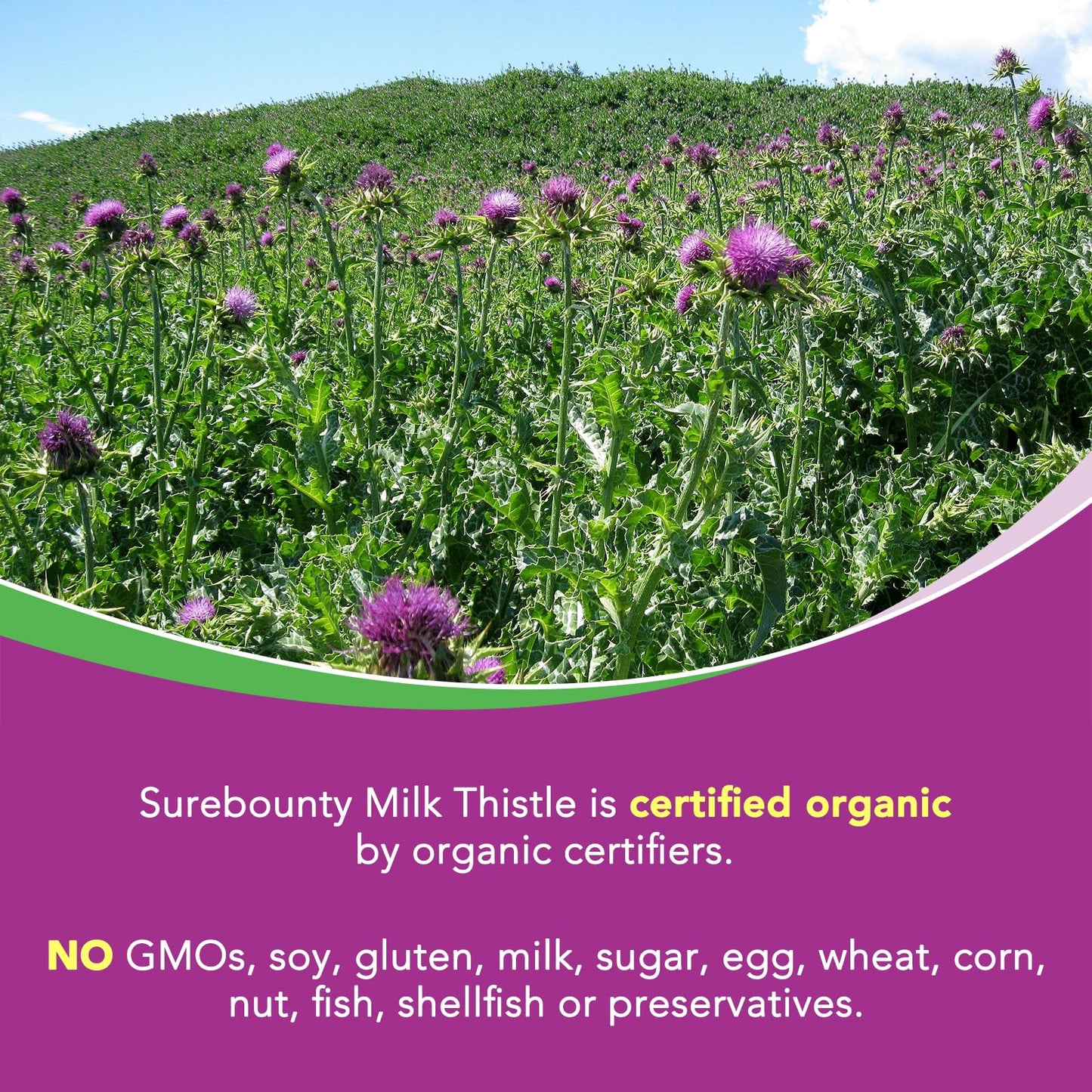 Organic Milk Thistle 9000 mg Equivalent – 30X Extract, 80% Silymarin, Liver Support, 90 Veggie Caps