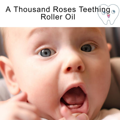 3Pcs Velaria Teething Roller – All-Natural Teething Relief for Babies