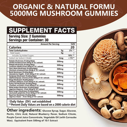 Vemluta 2 Packs 5000MG Mushroom Gummies – 10-Mushroom Blend with Lion's Mane & Reishi for Brain & Immune Support, Blueberry Flavor, Non-GMO, 120 Counts