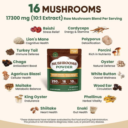 Venture Pal 16 in 1 Mushroom Powder – 90 Servings, 10:1 Extract, 100% Fruiting Bodies
