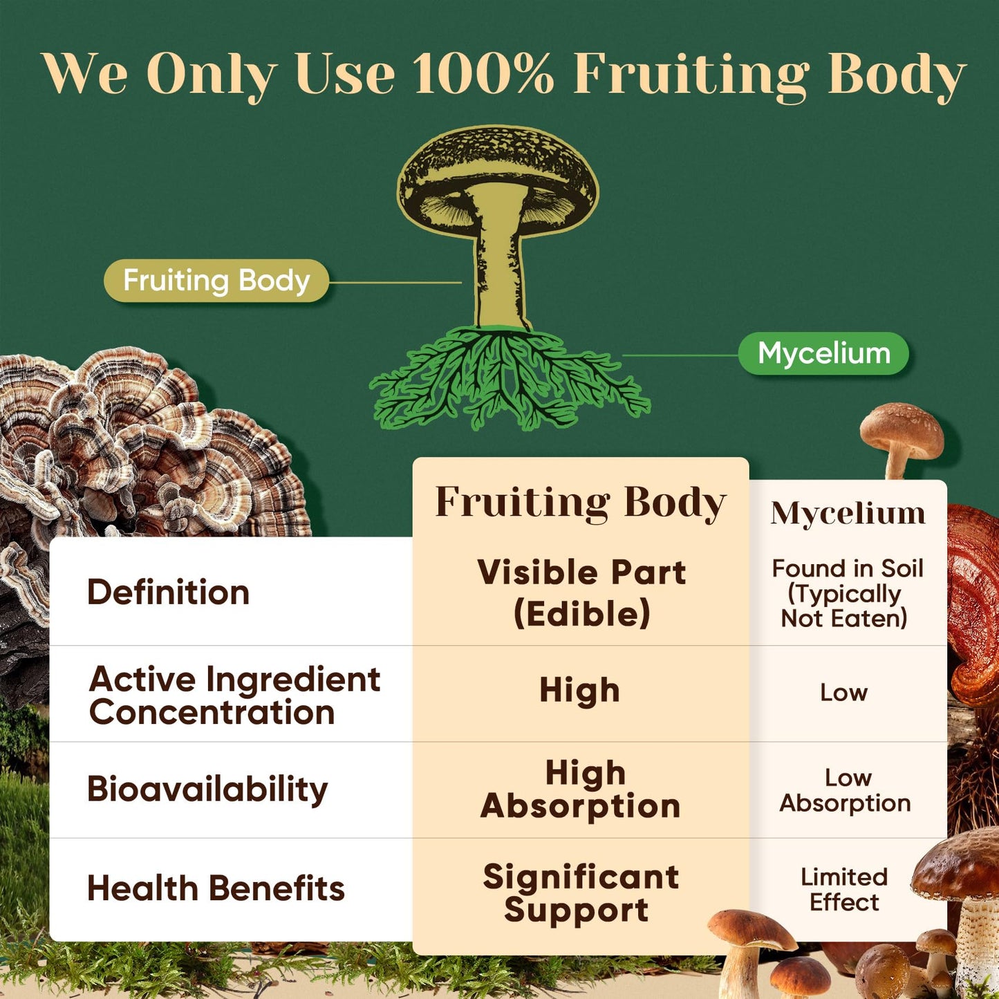 Venture Pal 16 in 1 Mushroom Powder – 90 Servings, 10:1 Extract, 100% Fruiting Bodies