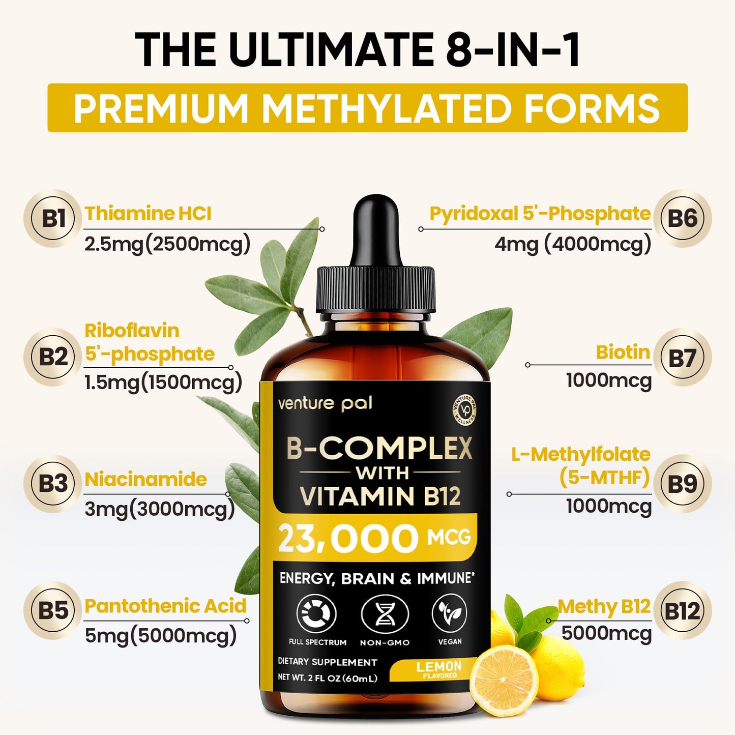 Venture Pal Vitamin B Complex Liquid Drops – B12 Methylcobalamin, B9 Folate, B1-B7 | Immune & Energy Metabolism