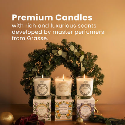 Panier des Sens Verbena Candle – Hand-Poured in Provence, 55h Burn Time, 6.3 oz