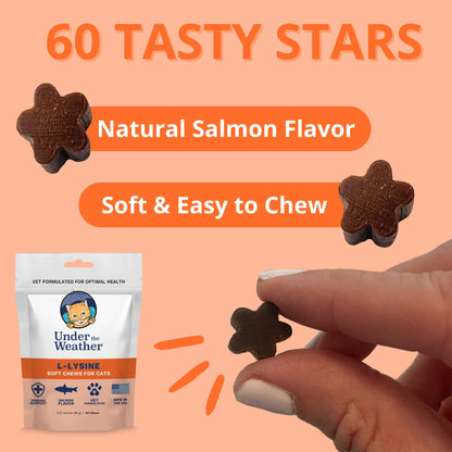 Under the Weather Pet Daily Cat L-Lysine | Immune Support & Respiratory Health | 60 Star Shaped Soft Chews