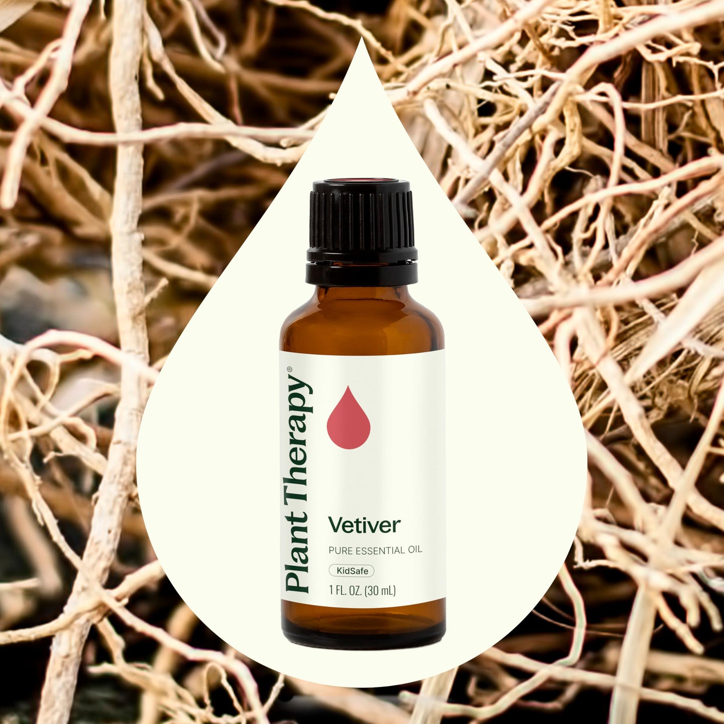 Plant Therapy Vetiver Essential Oil 100% Pure, Undiluted, Natural Aromatherapy, Therapeutic Grade 30 mL (1 oz)