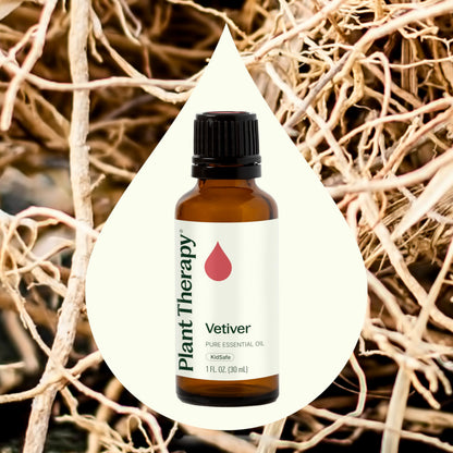 Plant Therapy Vetiver Essential Oil 100% Pure, Undiluted, Natural Aromatherapy, Therapeutic Grade 30 mL (1 oz)