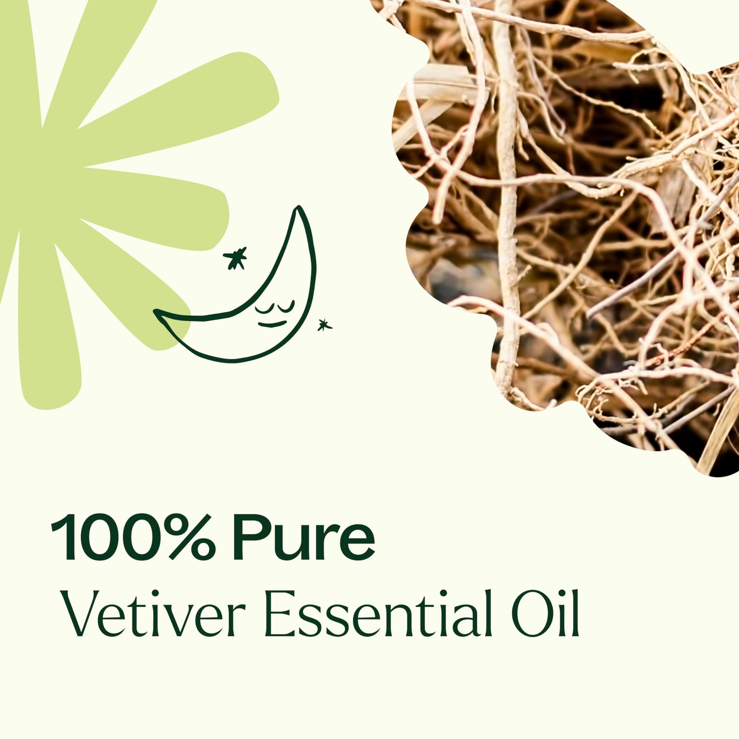 Plant Therapy Vetiver Essential Oil 100% Pure, Undiluted, Natural Aromatherapy, Therapeutic Grade 30 mL (1 oz)