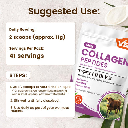 VEV Multi Collagen Peptides Powder 16 oz (41 Servings) – Hydrolyzed Collagen Types I, II, III, V, X with Hyaluronic Acid, Biotin & Vitamin C | Unflavored