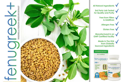 VH Nutrition Fenugreek+ | 1400mg Extra Strength Fenugreek Capsules | Hormonal Balance and Energy Support Supplement for Men & Women | 60 Gluten-Free Capsules