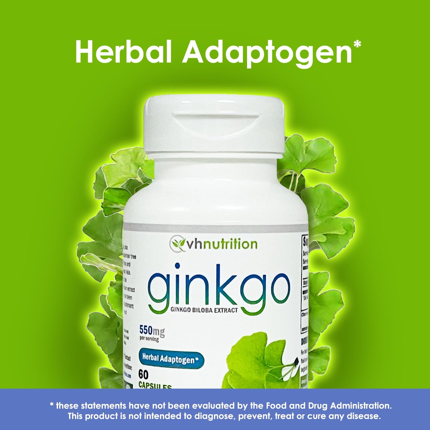 VH Nutrition Ginkgo Biloba 550mg – Cognitive Support | 60 Capsules (Pack of 2)