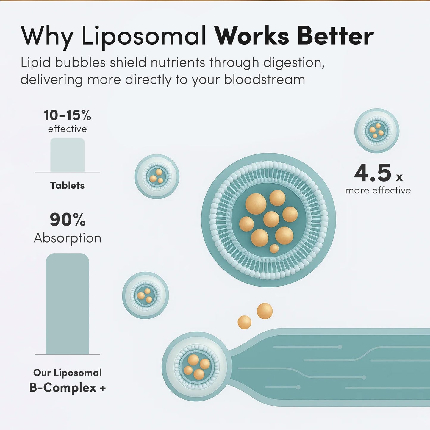Vida Lifescience Aurora Nutrascience: Mega-Liposomal B-Complex + Vitamin C for Energy & Immunity