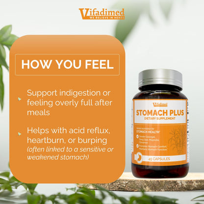 VIFADIMED Stomach Plus – Stomach Lining Support with Galangal, Dong Quai, Cinnamon & Magnolia (45 Capsules)