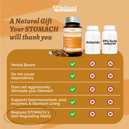VIFADIMED Stomach Plus – Stomach Lining Support with Galangal, Dong Quai, Cinnamon & Magnolia (45 Capsules)