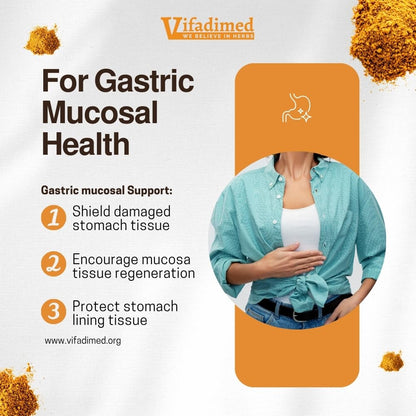 VIFADIMED Stomach Plus – Stomach Lining Support with Galangal, Dong Quai, Cinnamon & Magnolia (45 Capsules)