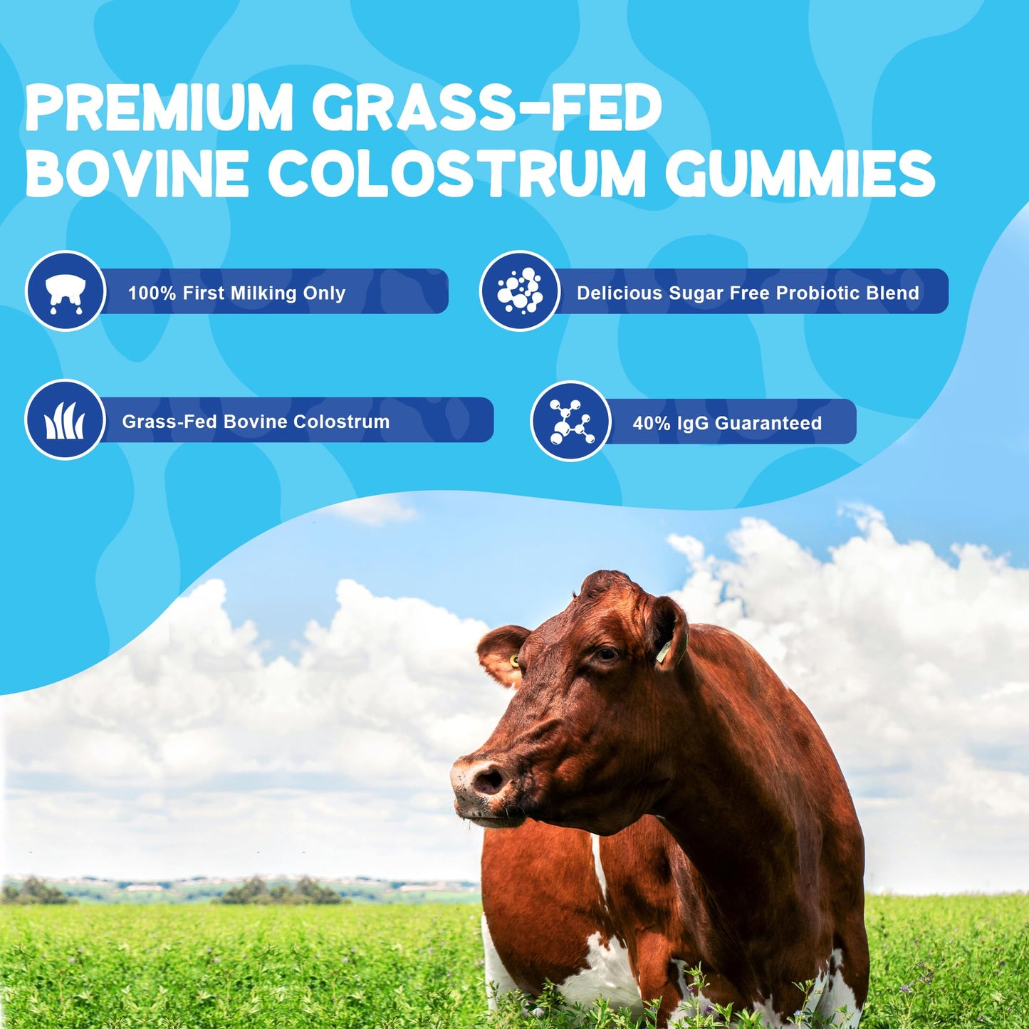VIFSSG Grass Fed Colostrum Gummies 2000mg | Sugar Free IgG 40% | Immune & Gut Support