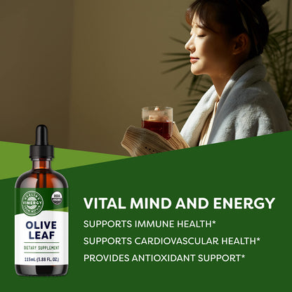 Vimergy Olive Leaf Liquid – Immune Health & Cardiovascular Support | USDA Organic, Vegan, Paleo, Gluten Free – 115 mL (57 Servings)