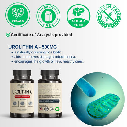 VINATURA Urolithin A 500mg – Antioxidants, Anti-Aging & Mitochondrial Support (30 Caps)