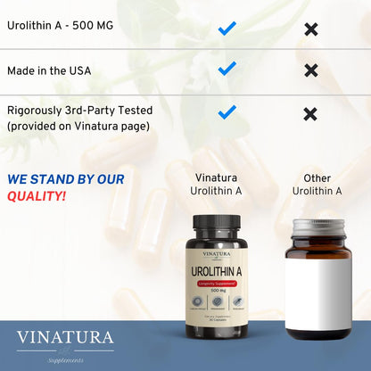 VINATURA Urolithin A 500mg – Antioxidants, Anti-Aging & Mitochondrial Support (30 Caps)
