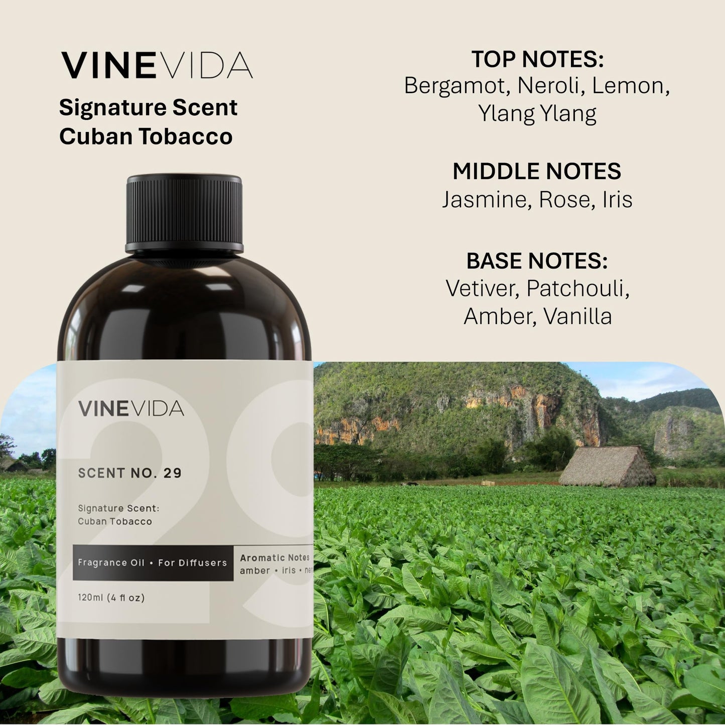 VINEVIDA Cuban Tobacco Fragrance Oil - 4 Oz for Cold Air Diffusers, Diffuser Oil Refill & Room Spray