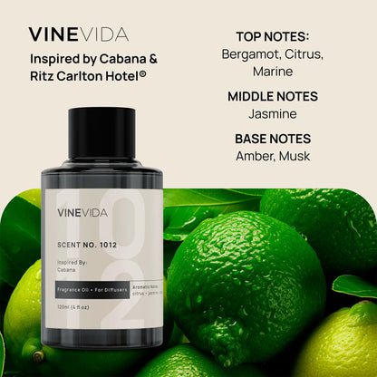VINEVIDA 4-pk Hotel Fragrance Collection – Cold Air Diffuser Scents 1002, 1019, 1012 & 1010