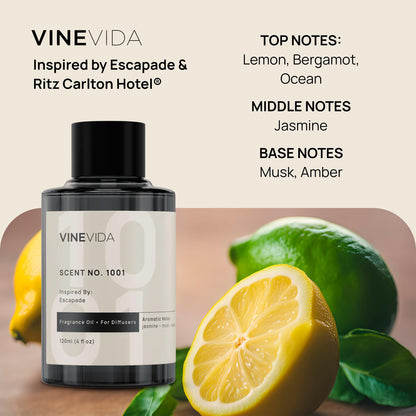 VINEVIDA Pack of 4 Hotel Fragrance Diffuser Oils | No. 1000, 1001, 1007, 1003