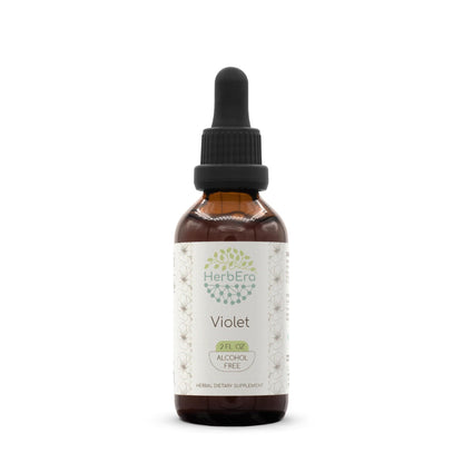 Violet B60 Alcohol-Free Herbal Extract Tincture - 2 fl oz | Herbera