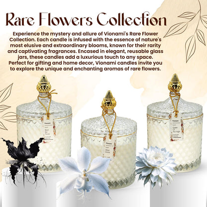 VIONAMI Luxury Scented Candle Gift – Queen of The Night Rare Flower, 14.8 oz Soy Jar