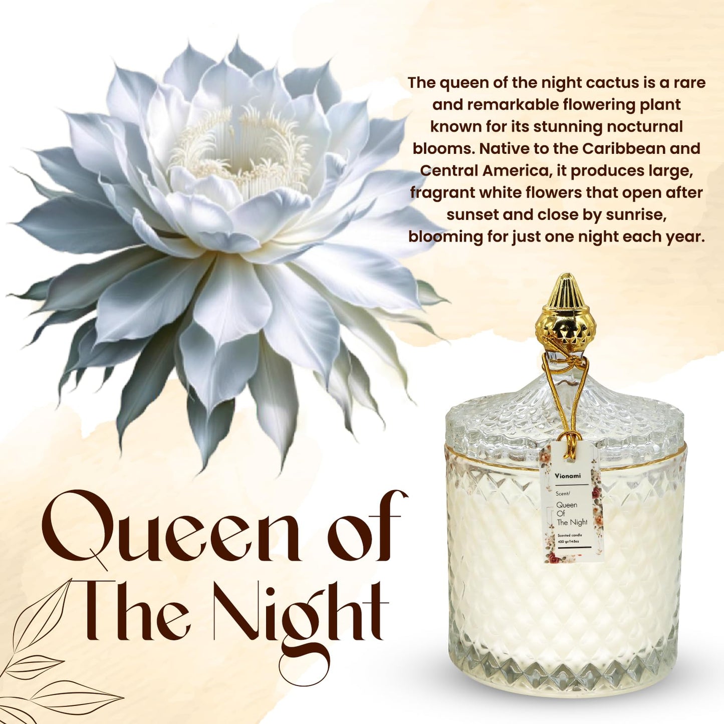 VIONAMI Luxury Scented Candle Gift – Queen of The Night Rare Flower, 14.8 oz Soy Jar