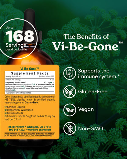 Herb Pharm Virattack Liquid Herbal Formula with Lomatium – Immune Support, 4 oz