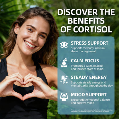 VitaHarbor Cortisol Supplement – 4-in-1 Stress Support (90 Veg Caps)