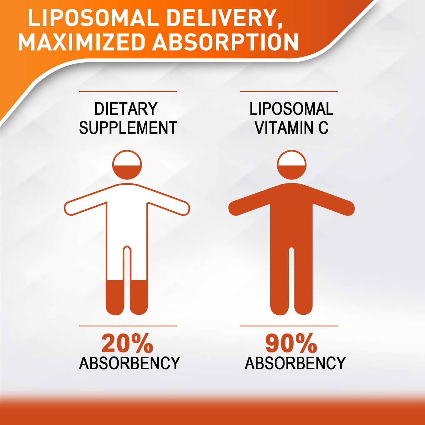 Vitablosom Liposomal Vitamin C 2000mg Liquid – High Absorption Immune Support, 60ml Bottle