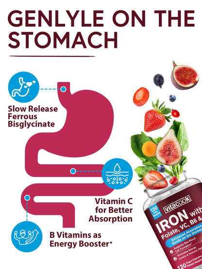 Vitacook Iron Supplement for Women & Men, Iron Bisglycinate with Vitamin C, B6, B12, Folate, Stomach Friendly, Non-Constipating, Blood Health & Energy Boost, 120 Vegan Caps