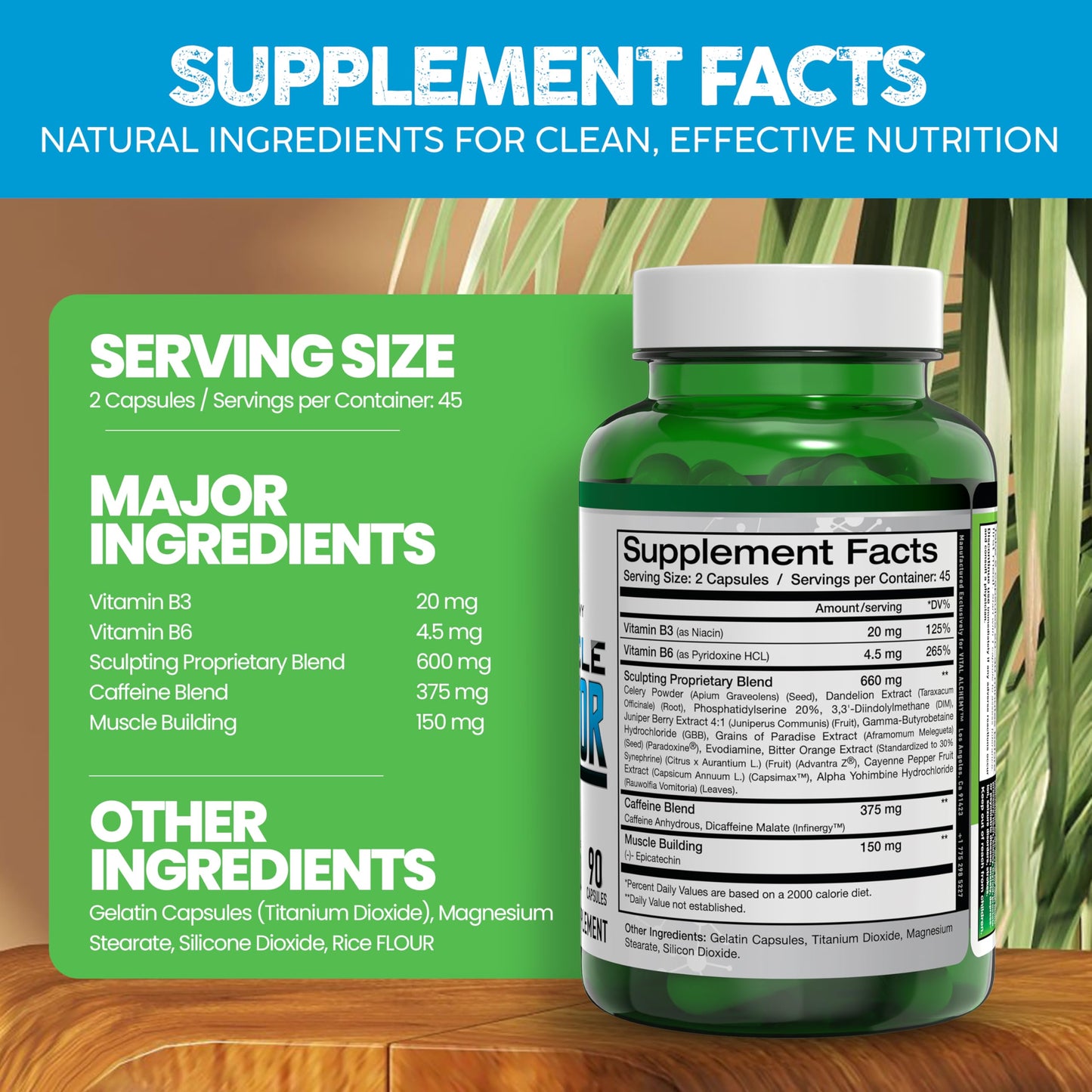 Vital Alchemy The Muscle Sculptor – Muscle Builder with B3, B6, Epicatechin & Cayenne | Made in USA