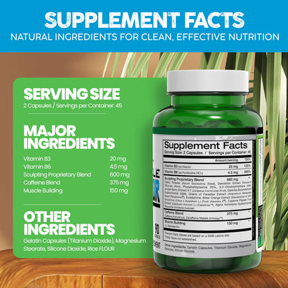 Vital Alchemy The Muscle Sculptor – Muscle Builder with B3, B6, Epicatechin & Cayenne | Made in USA