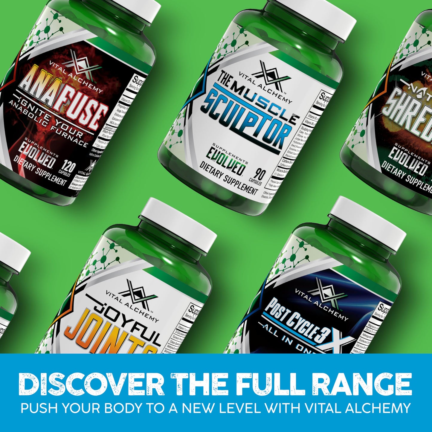 Vital Alchemy The Muscle Sculptor – Muscle Builder with B3, B6, Epicatechin & Cayenne | Made in USA