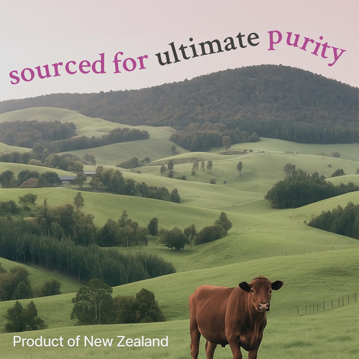 Vital Core Desiccated Thyroid 200mg – NZ Grass-Fed for Women | Energy & Thyroid Health