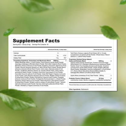 Vital Greens Superfood Powder – 40+ Superfoods, Probiotics, Vegan