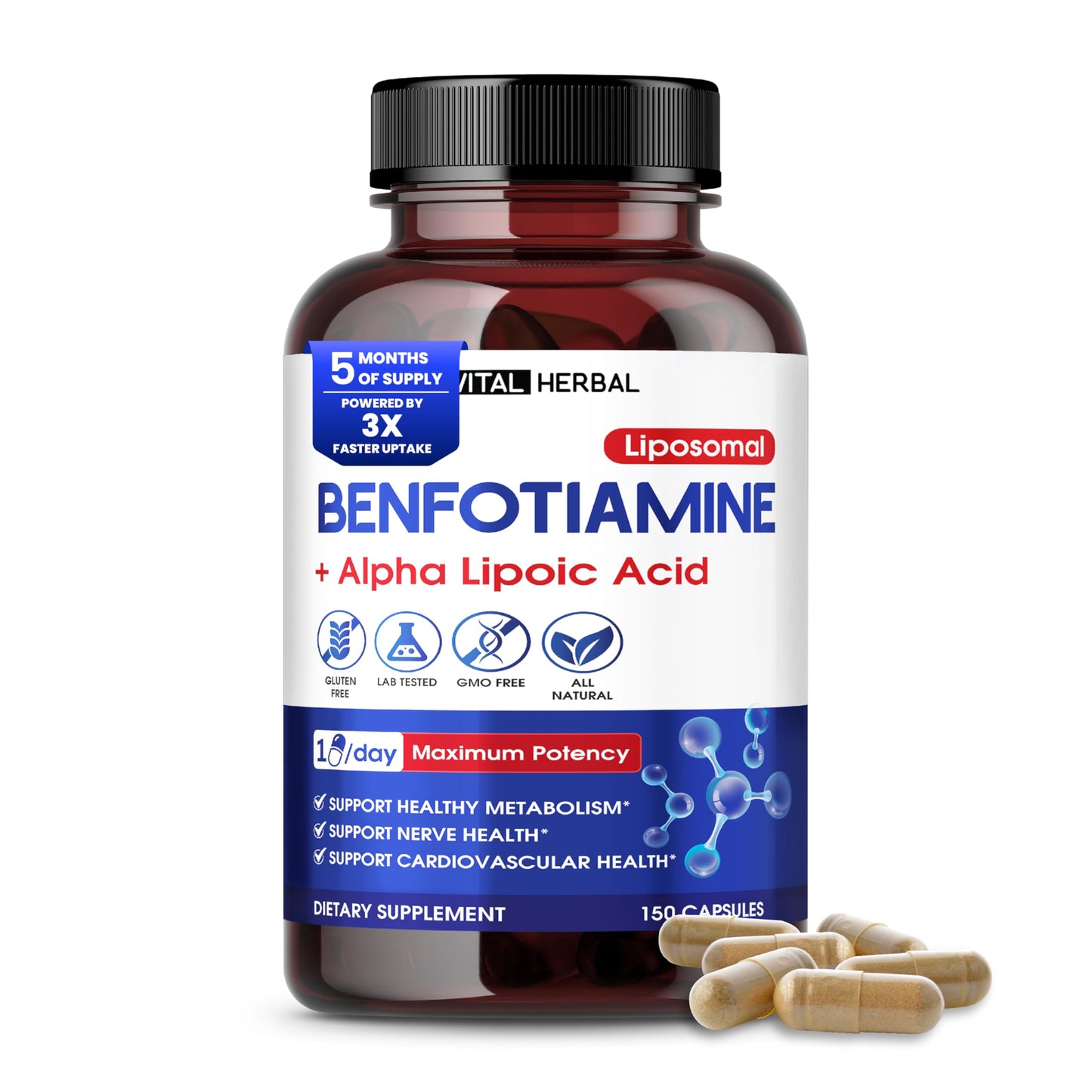 VITAL HERBAL Liposomal Benfotiamine with Alpha Lipoic Acid - Maximum Potency - Made in The USA